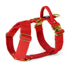 Easy Walk Extreme Gold Edition Red