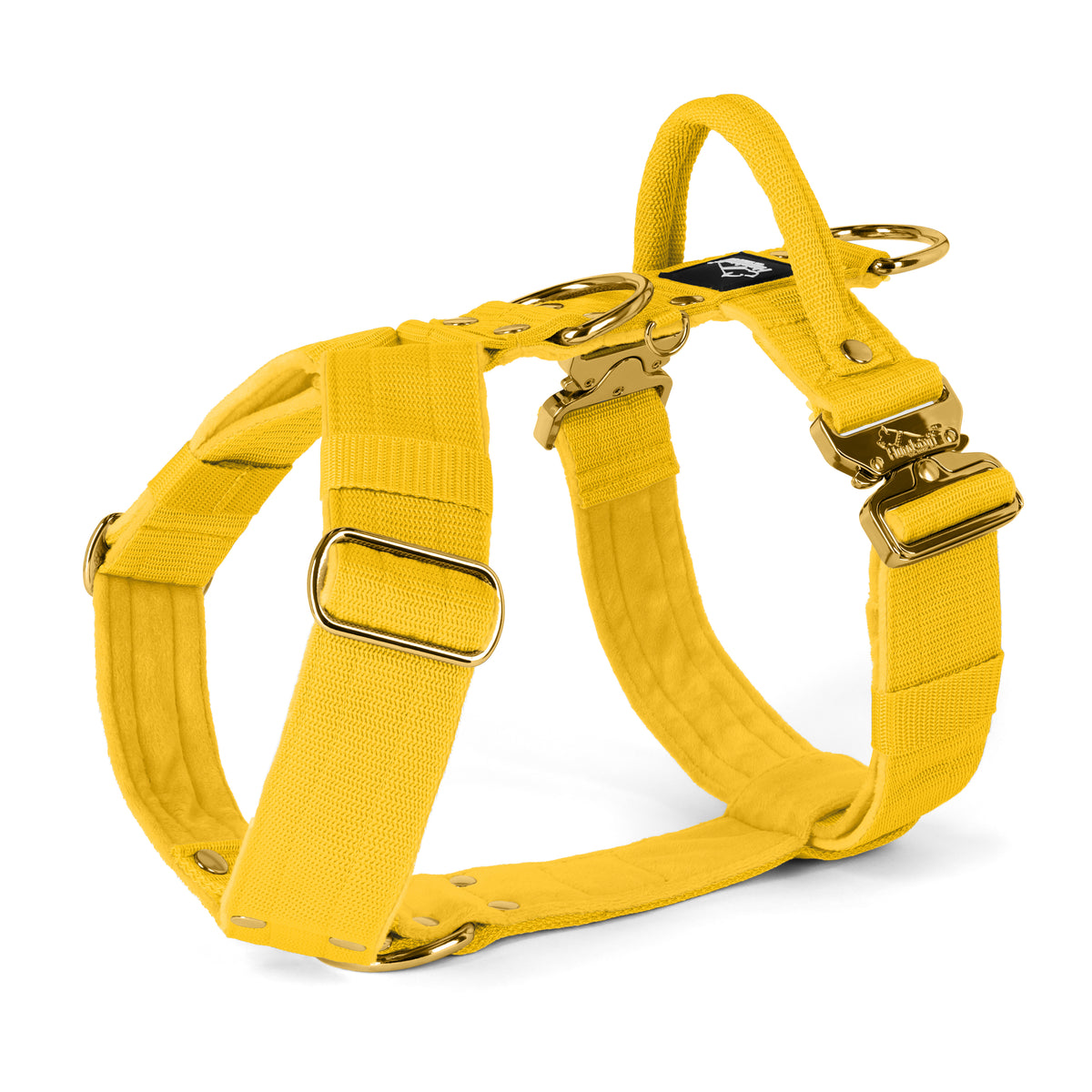 Easy Walk Extreme Gold Edition Yellow