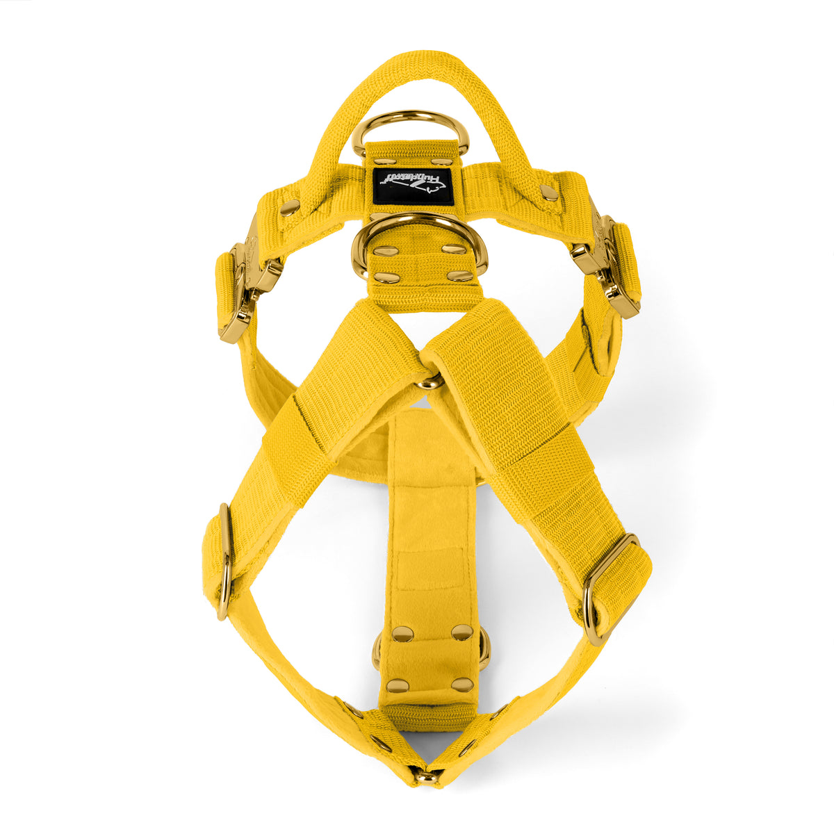 Easy Walk Extreme Gold Edition Yellow