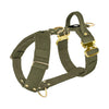 Easy Walk Extreme Gold Buckle Khaki - Geschirr mit Schnellverschluss