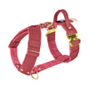 Easy Walk Extreme Gold Buckle Raspberry Red - Geschirr mit Schnellverschluss