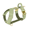 Easy Walk Extreme Gold Buckle Olive Green - Geschirr mit Schnellverschluss