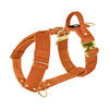 Easy Walk Extreme Gold Buckle Burnt Orange - Geschirr mit Schnellverschluss