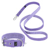 Active Set Baby Purple - Active Halsband & Leine