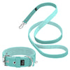 Active Set Mint - Aktivhalsband & Leine