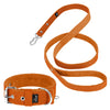 Active Set Orange - Active Halsband & Leine