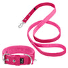 Active Set Pink - Active Halsband & Leine